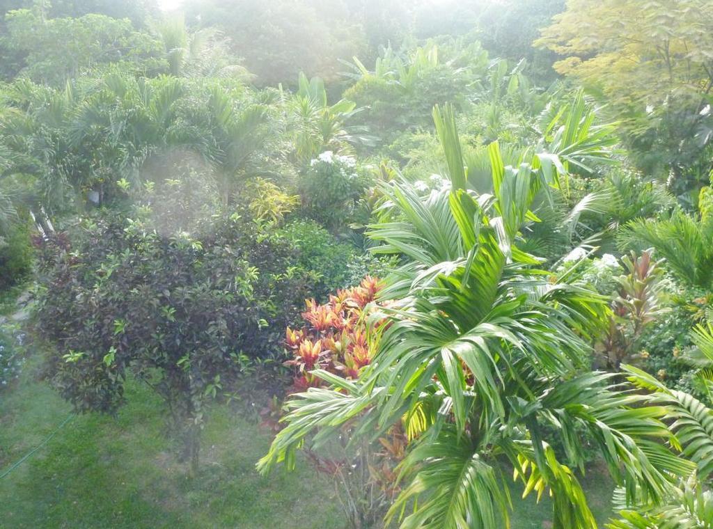 La Batie selfcatering Apartment Beau Vallon  Esterno foto